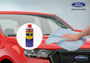 CÁCH ĐỂ LÀM SẠCH CÔN TRÙNG, NHỰA CÂY DÍNH TRÊN Ô TÔ?
