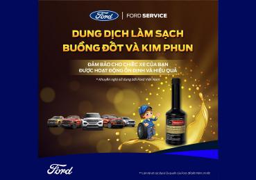 DUNG DỊCH LÀM SẠCH BUỒNG ĐỐT VÀ KIM PHUN