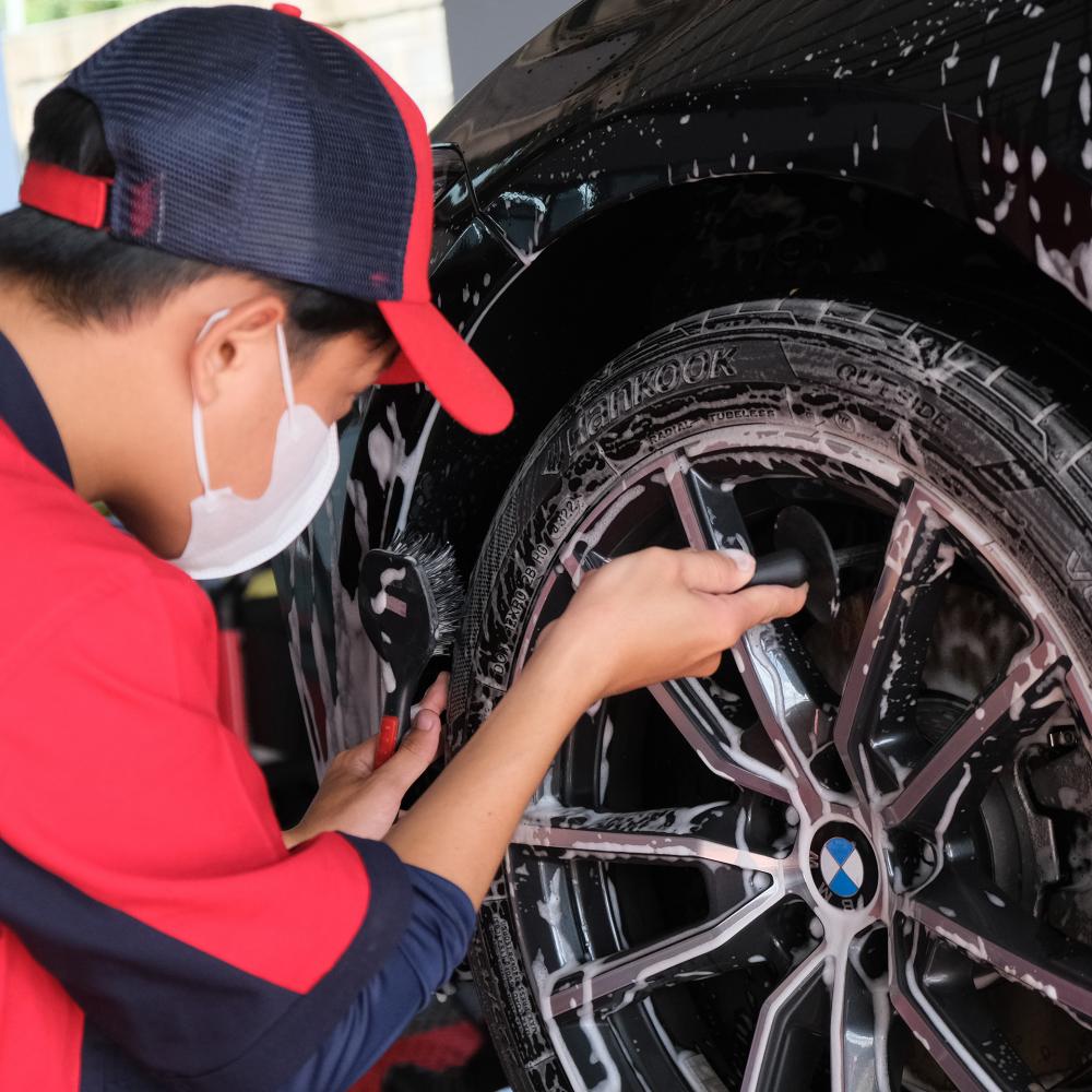 LÚC NÀO THÌ CẦN CHĂM SÓC XẾ YÊU