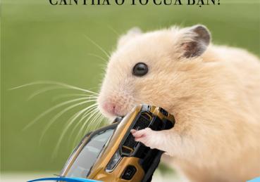 MỐI NGUY HIỂM KHI CHUỘT CẮN DÂY ĐIỆN Ô TÔ
